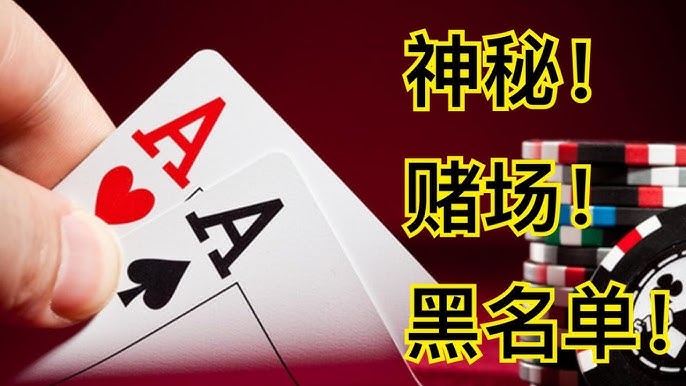 参与白菜论坛：了解投诉与反馈通道的重要性-博彩达人-博彩论坛